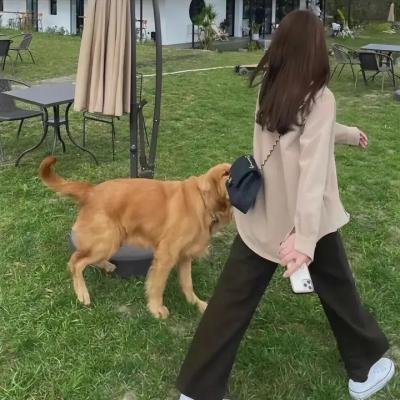 泥之河